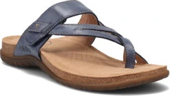 Taos Perfect 14 Taos Perfect -Englin's fine Footwear taos us womens perfect dark blue prf 14050 dkbl 57607.1682093219